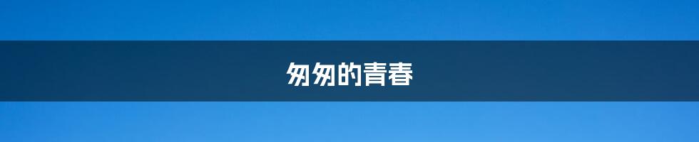 匆匆的青春