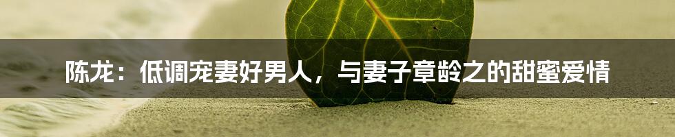 陈龙:低调宠妻好男人,与妻子章龄之的甜蜜爱情