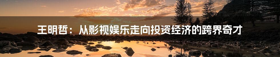 王明哲:从影视娱乐走向投资经济的跨界奇才