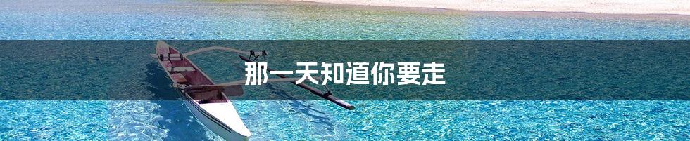 那一天知道你要走