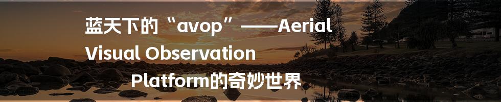 蓝天下的“avop”——Aerial Visual Observation Platform的奇妙世界