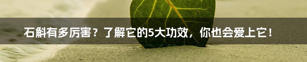 石斛有多厉害?了解它的5大功效,你也会爱上它!
