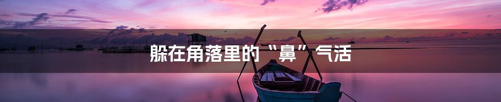 躲在角落里的“鼻”气活