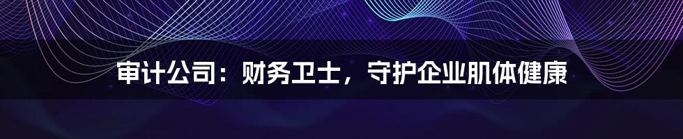 审计公司:财务卫士,守护企业肌体健康