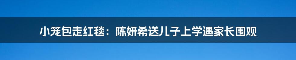小笼包走红毯:陈妍希送儿子上学遇家长围观