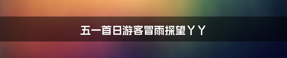 五一首日游客冒雨探望丫丫