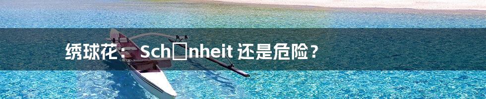 绣球花: Schönheit 还是危险?