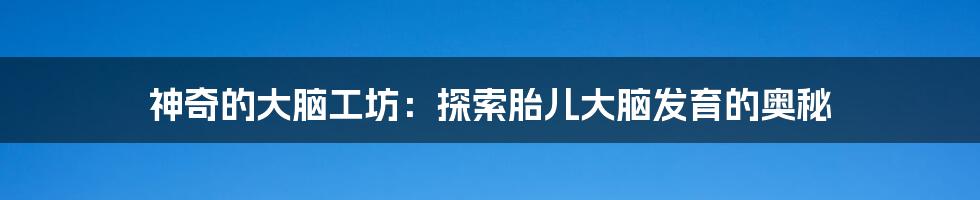 神奇的大脑工坊：探索胎儿大脑发育的奥秘