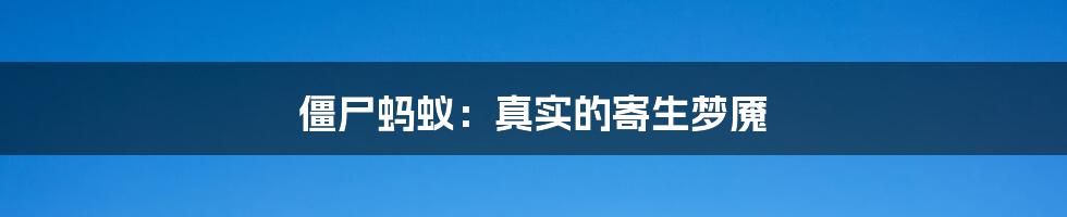 僵尸蚂蚁：真实的寄生梦魇