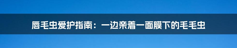 唇毛虫爱护指南:一边亲着一面膜下的毛毛虫