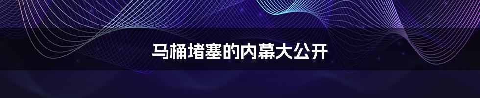马桶堵塞的内幕大公开