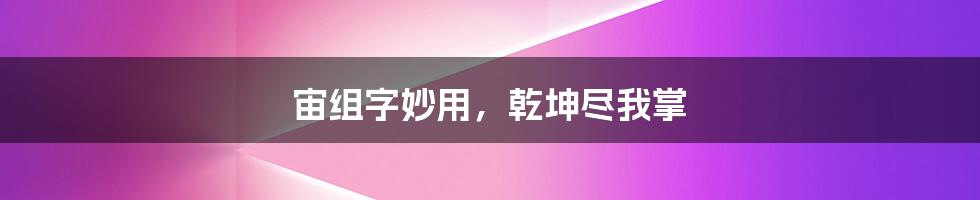 宙组字妙用,乾坤尽我掌