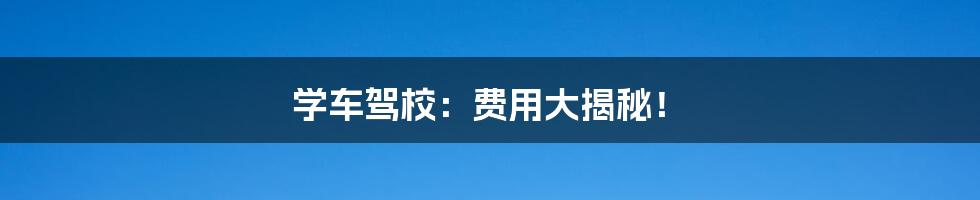 学车驾校:费用大揭秘!