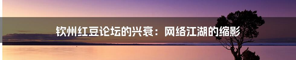 钦州红豆论坛的兴衰:网络江湖的缩影