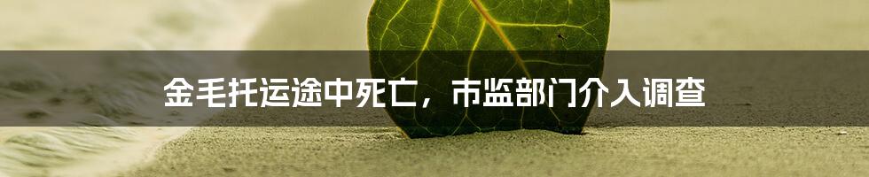 金毛托运途中死亡,市监部门介入调查