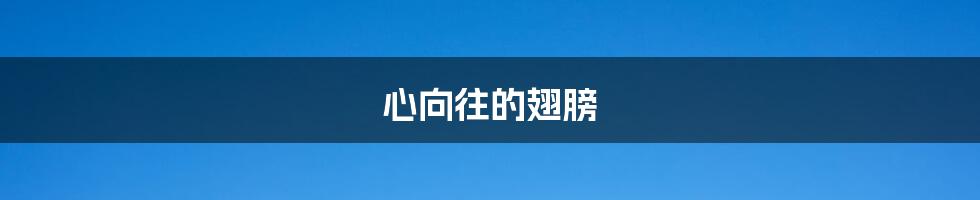 心向往的翅膀