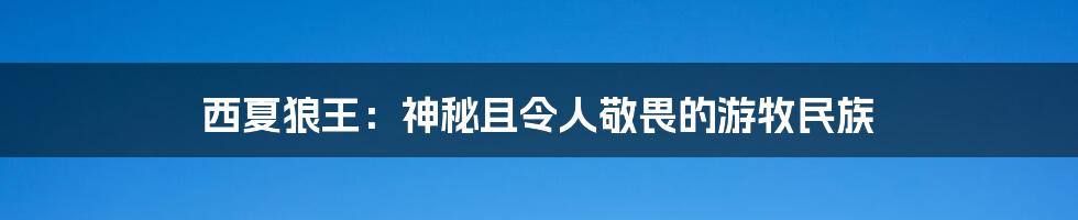西夏狼王:神秘且令人敬畏的游牧民族