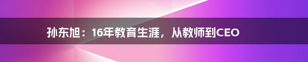 孙东旭：16年教育生涯，从教师到CEO