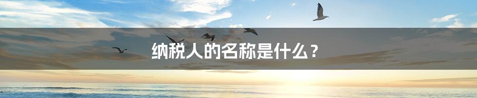 纳税人的名称是什么？