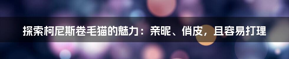 探索柯尼斯卷毛猫的魅力：亲昵、俏皮，且容易打理