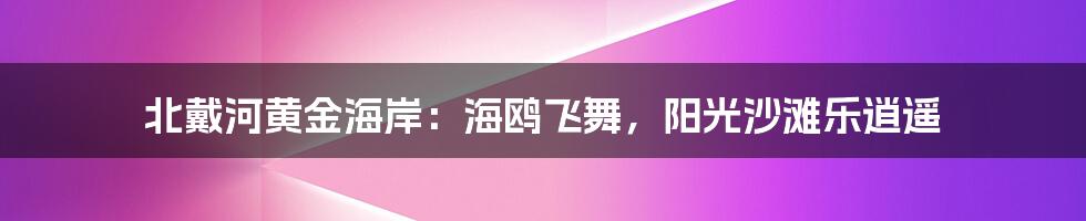 北戴河黄金海岸:海鸥飞舞,阳光沙滩乐逍遥