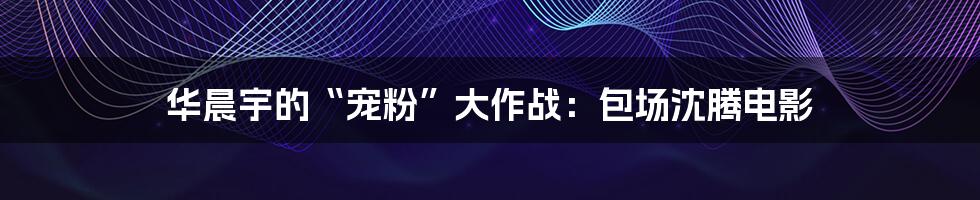 华晨宇的“宠粉”大作战:包场沈腾电影