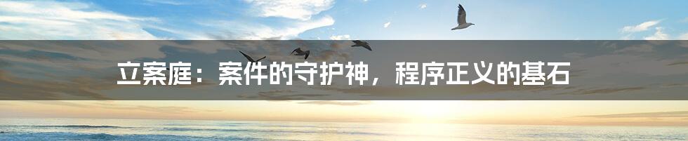 立案庭:案件的守护神,程序正义的基石