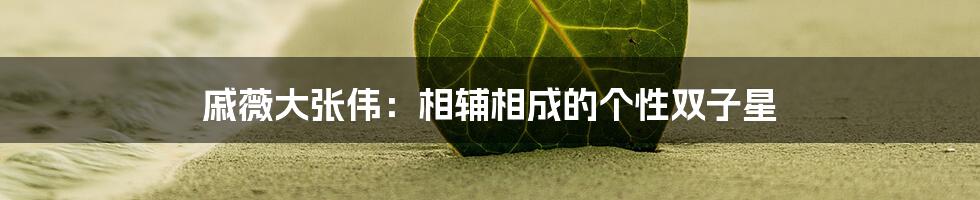 戚薇大张伟:相辅相成的个性双子星
