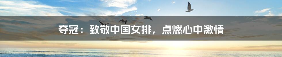 夺冠:致敬中国女排,点燃心中激情