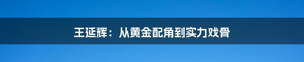 王延辉:从黄金配角到实力戏骨