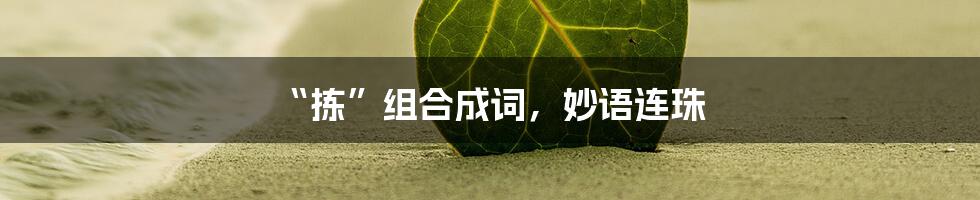 “拣”组合成词,妙语连珠