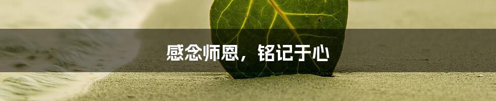 感念师恩，铭记于心