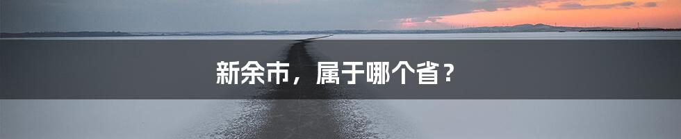 新余市,属于哪个省?