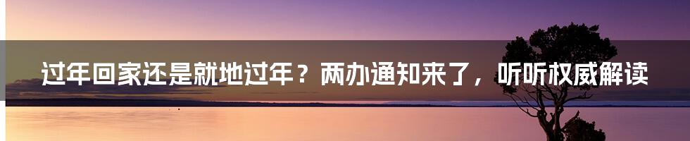 过年回家还是就地过年?两办通知来了,听听权威解读