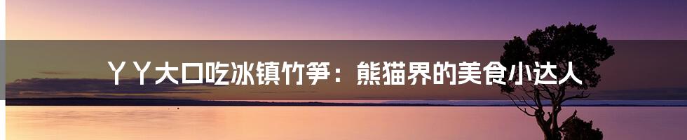 丫丫大口吃冰镇竹笋：熊猫界的美食小达人