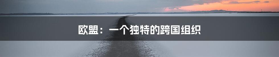 欧盟:一个独特的跨国组织