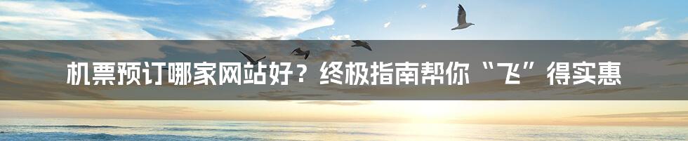 机票预订哪家网站好?终极指南帮你“飞”得实惠