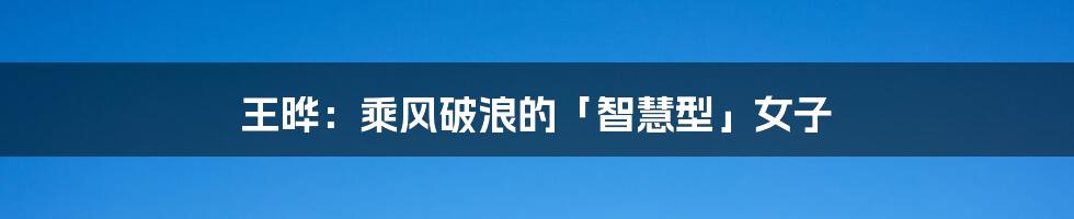 王晔:乘风破浪的「智慧型」女子