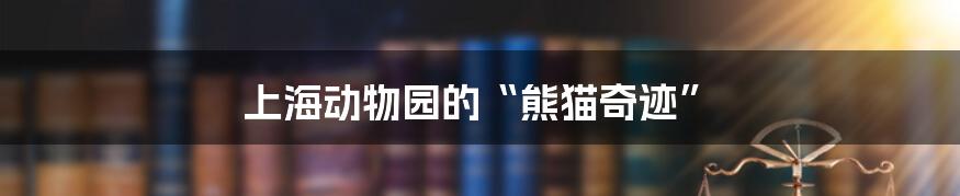 上海动物园的“熊猫奇迹”