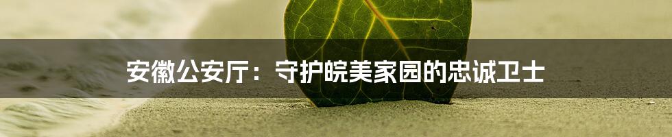 安徽公安厅:守护皖美家园的忠诚卫士
