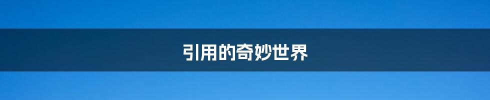 引用的奇妙世界
