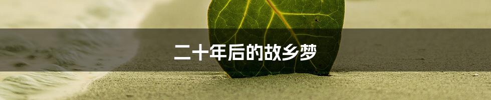 二十年后的故乡梦