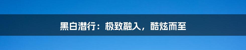 黑白潜行:极致融入,酷炫而至