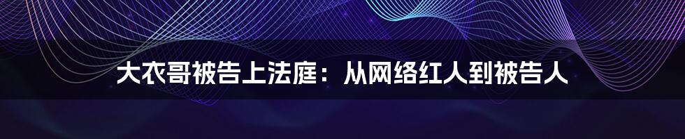 大衣哥被告上法庭:从网络红人到被告人