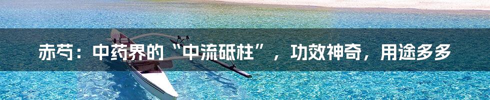 赤芍:中药界的“中流砥柱”,功效神奇,用途多多