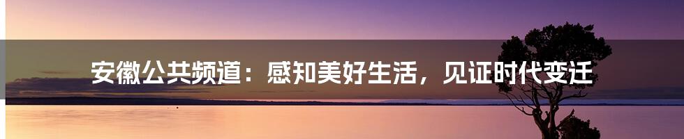 安徽公共频道:感知美好生活,见证时代变迁