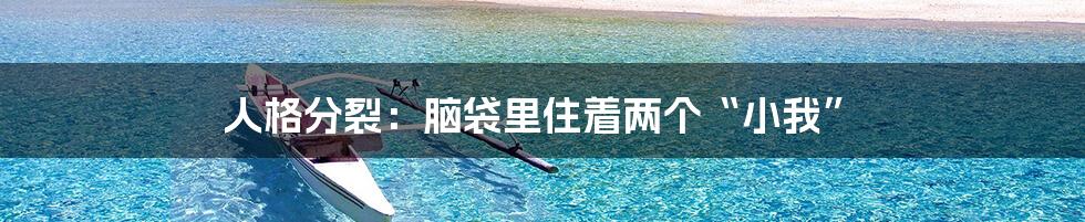 人格分裂：脑袋里住着两个“小我”