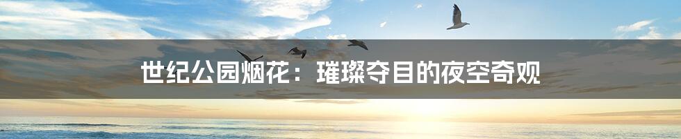 世纪公园烟花:璀璨夺目的夜空奇观
