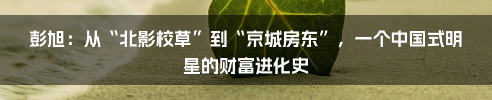 彭旭:从“北影校草”到“京城房东”,一个中国式明星的财富进化史