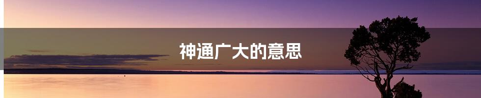 神通广大的意思